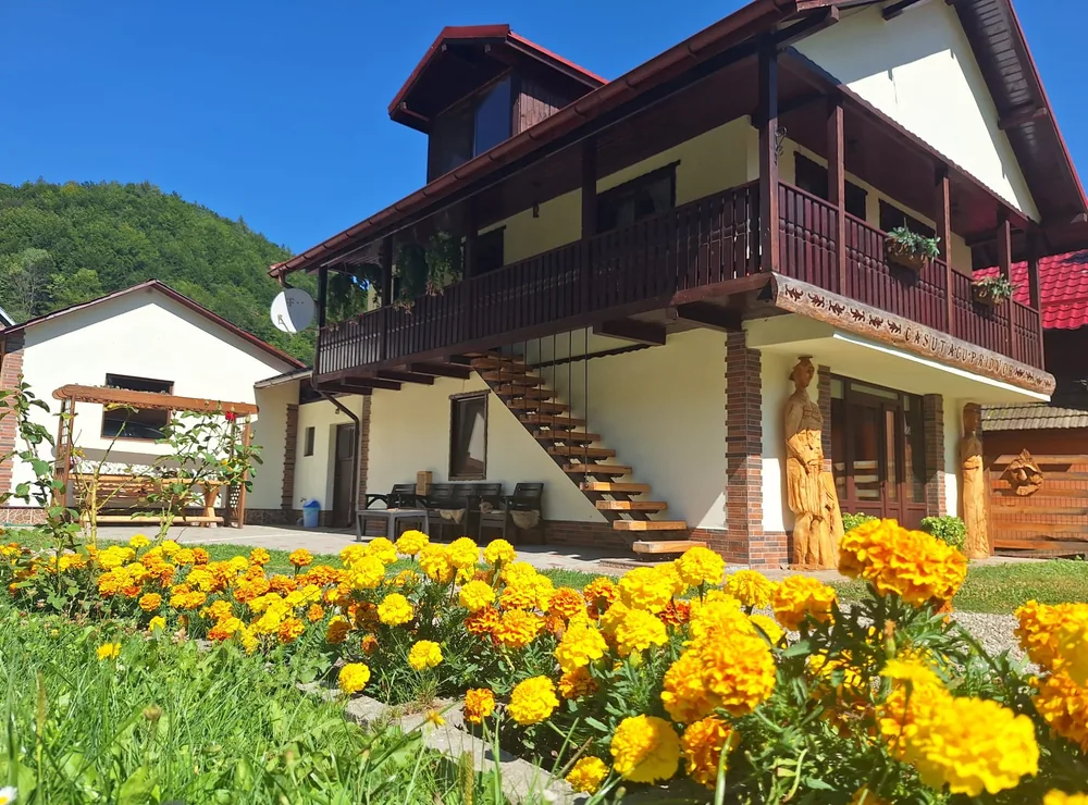 Căsuța cu Pridvor și florile galbene din grădină