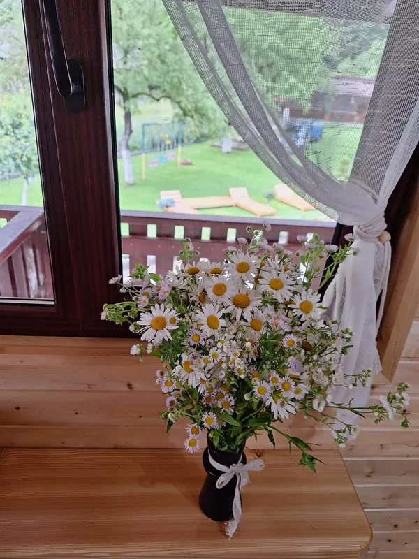 Flori la fereastra căsuței, cu vedere spre grădină